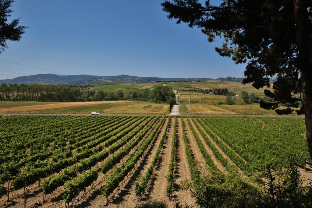 Azienda Agricola E Agriturismo Vallorsi Terricciola Exteriör bild